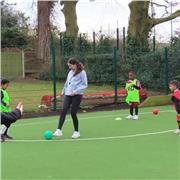 I give affordable geography lessons, for GCSE students, or any other year groups with advanced knowledge in the subject